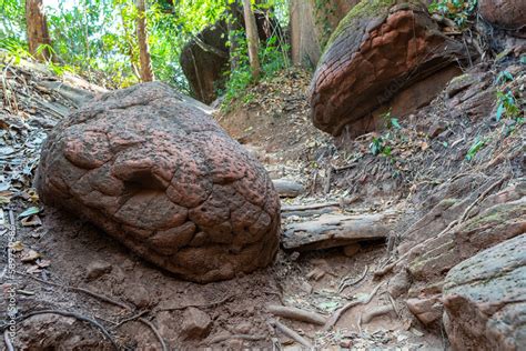 naka cave thailand|This Giant Snake Rock in Thailand Is a Fascination of。